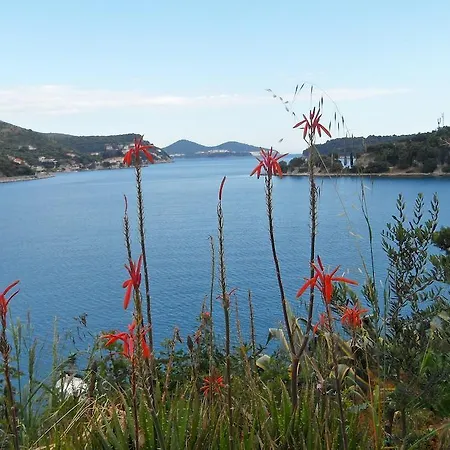 Apartment Zaton * Zaton (Dubrovnik-Neretva)