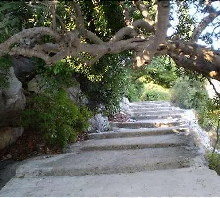 Apartment Apartment Zaton