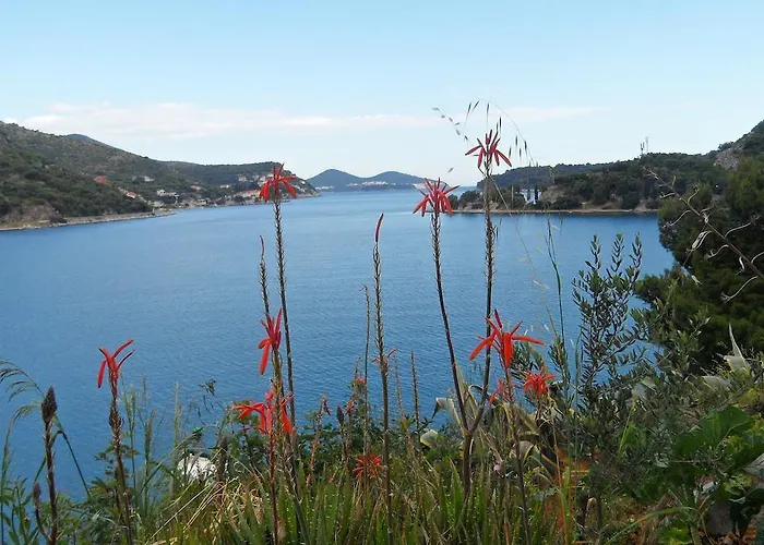 Apartment Zaton * Zaton (Dubrovnik-Neretva)