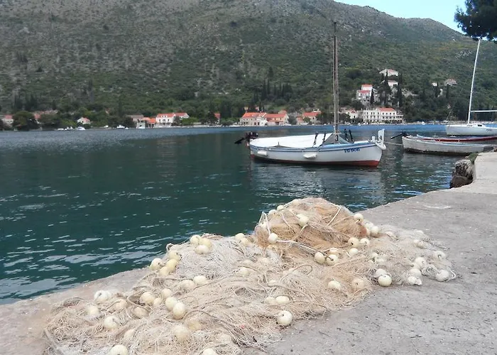 Apartment Apartment Zaton