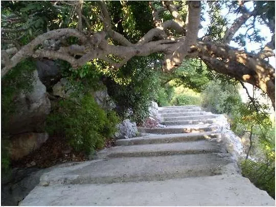 Apartment Apartment Zaton